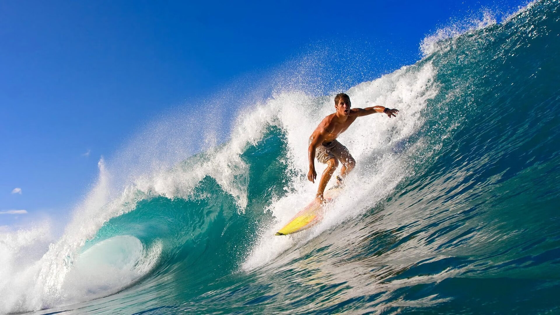 阿拉伯联合酋长国在西亚锦标赛中脱颖而出，成绩显著，阿拉伯联合酋长国位于西亚吗