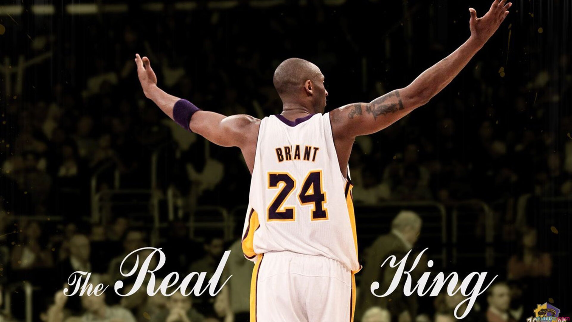 青少年篮球人才培养计划推动多层次发展体系完善，青少年篮球培训计划